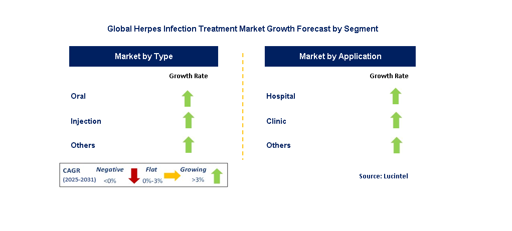Herpes Infection Treatment Market by Segment
